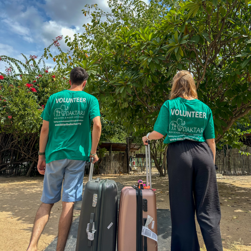 The volunteers coming at Daktari