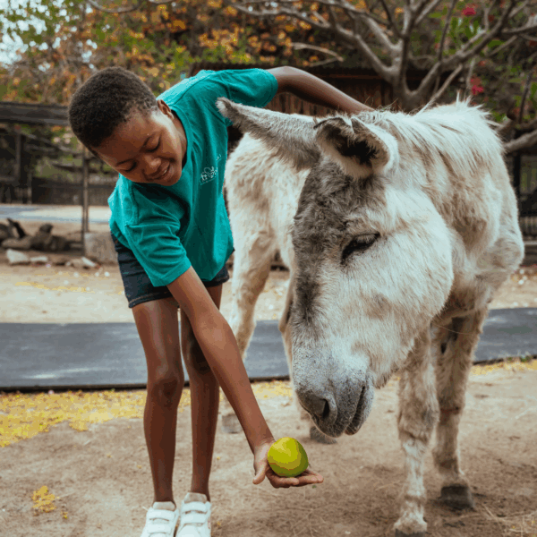 children want to help the donkey