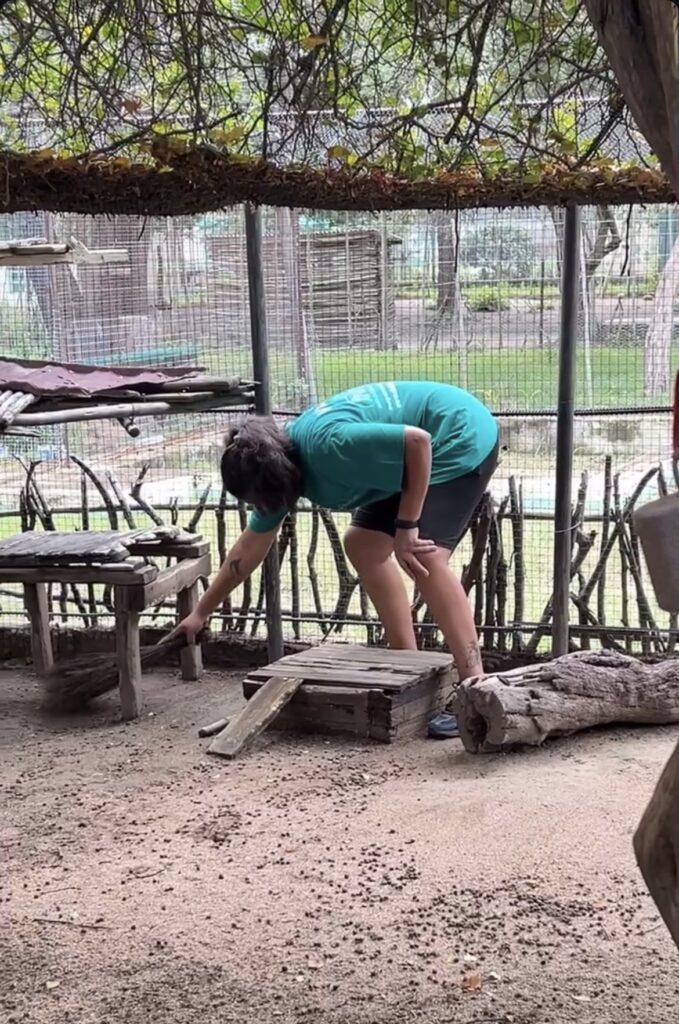 Cleaning